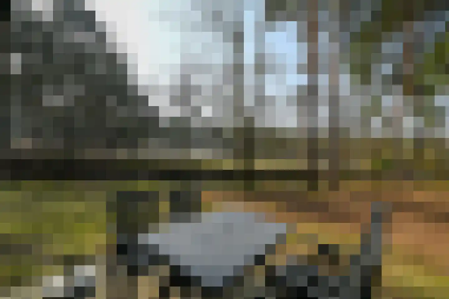 Vennenbos 308 Hapert thumbnail 13