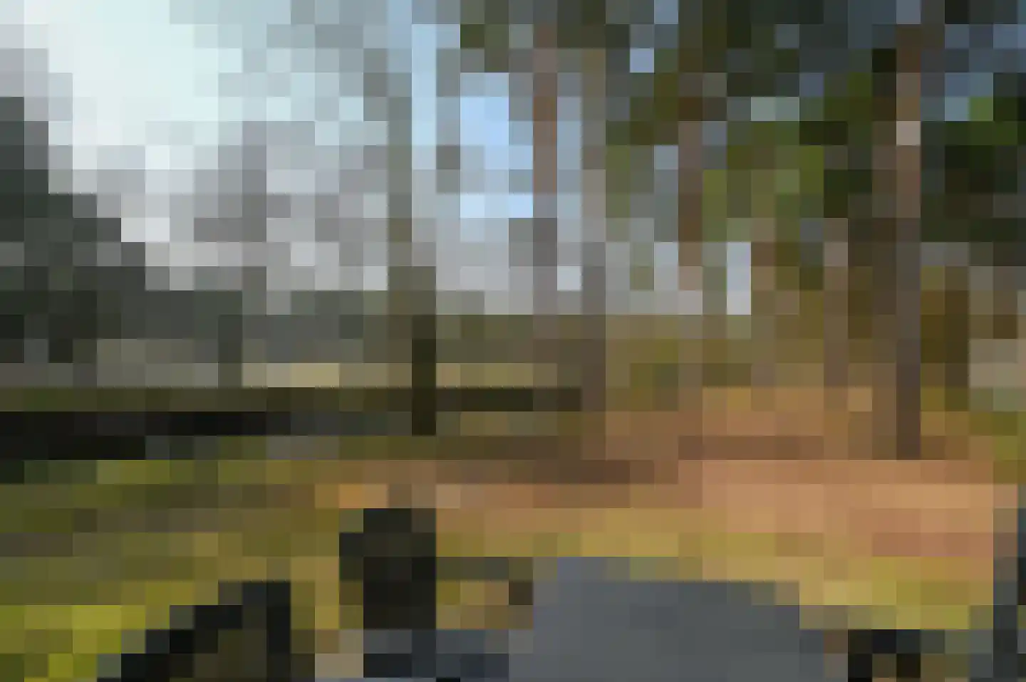Vennenbos 308 Hapert thumbnail 14