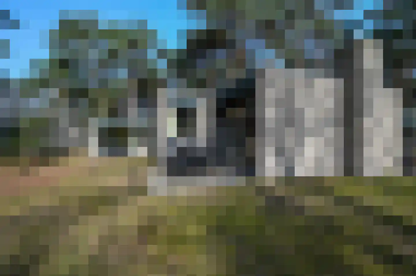 Vennenbos 308 Hapert thumbnail 15