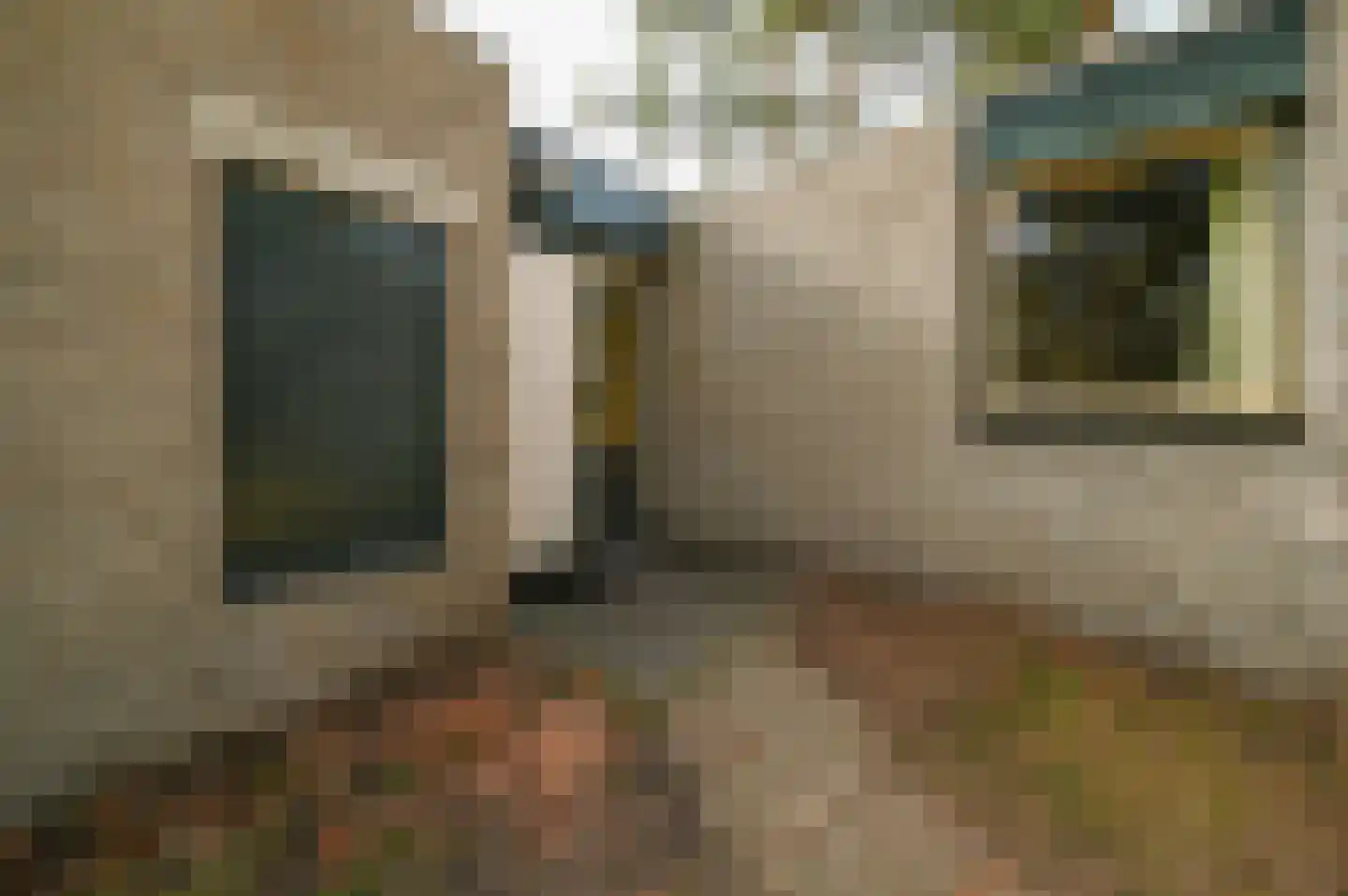 Vennenbos 308 Hapert thumbnail 17