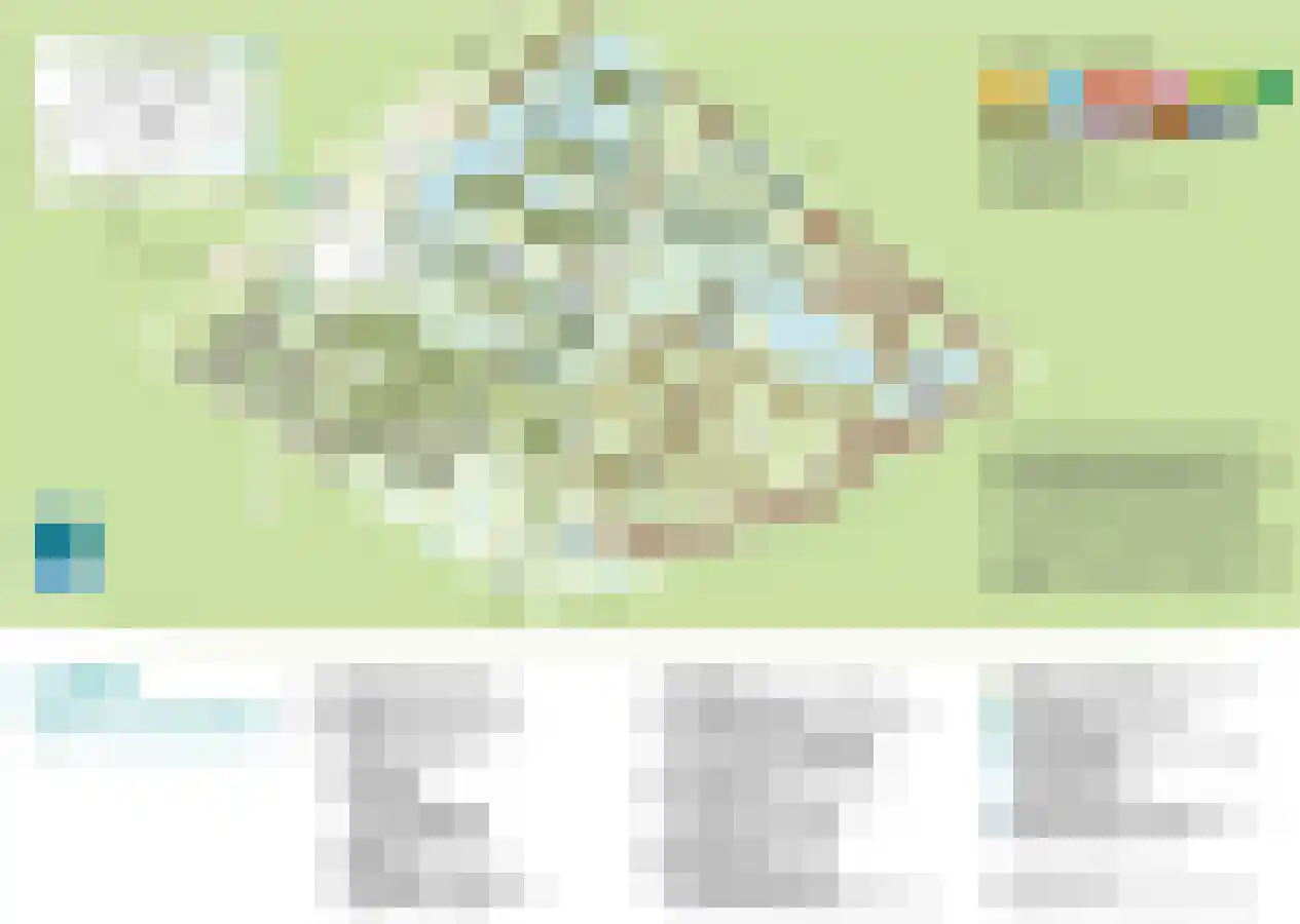 Vennenbos 308 Hapert thumbnail 25