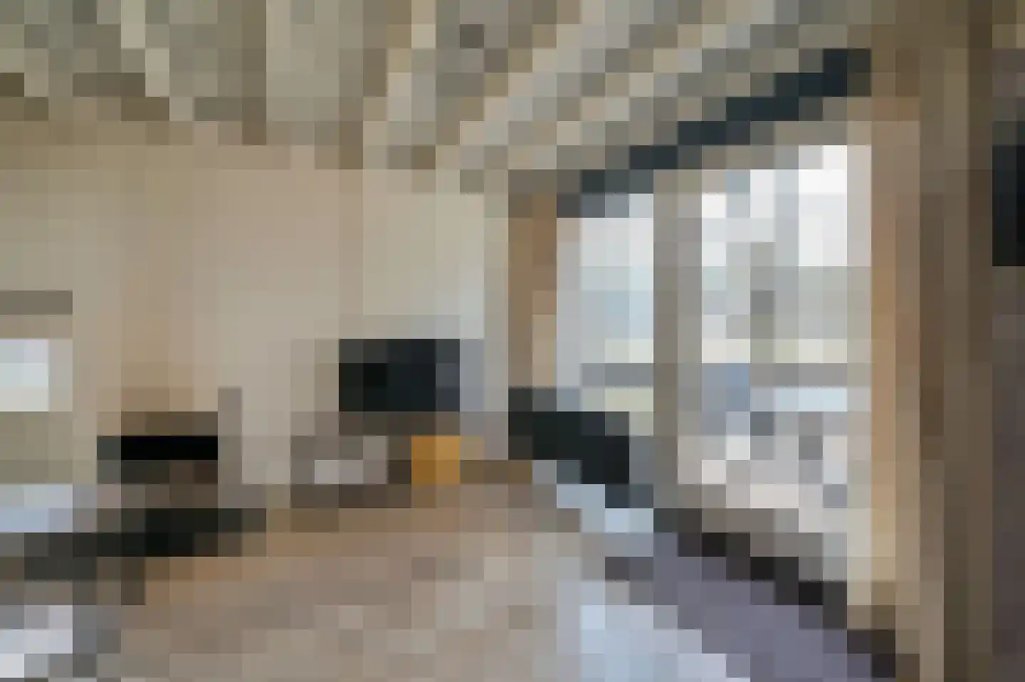 Vennenbos 308 Hapert thumbnail 5