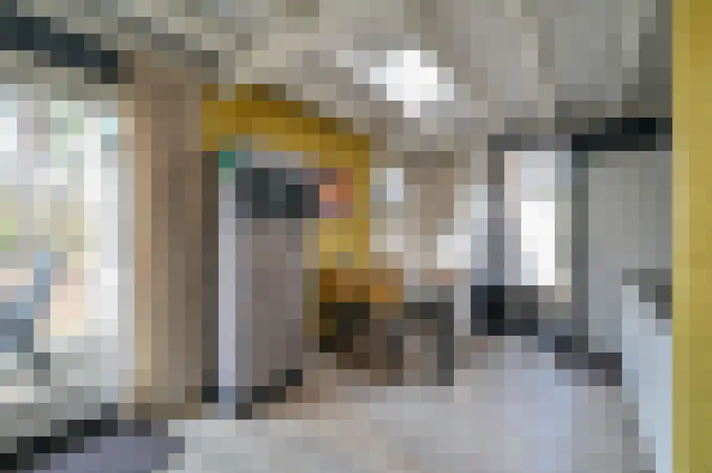 Vennenbos 308 Hapert thumbnail 6