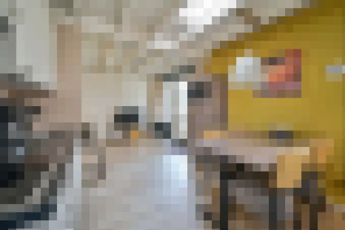 Vennenbos 308 Hapert thumbnail 7