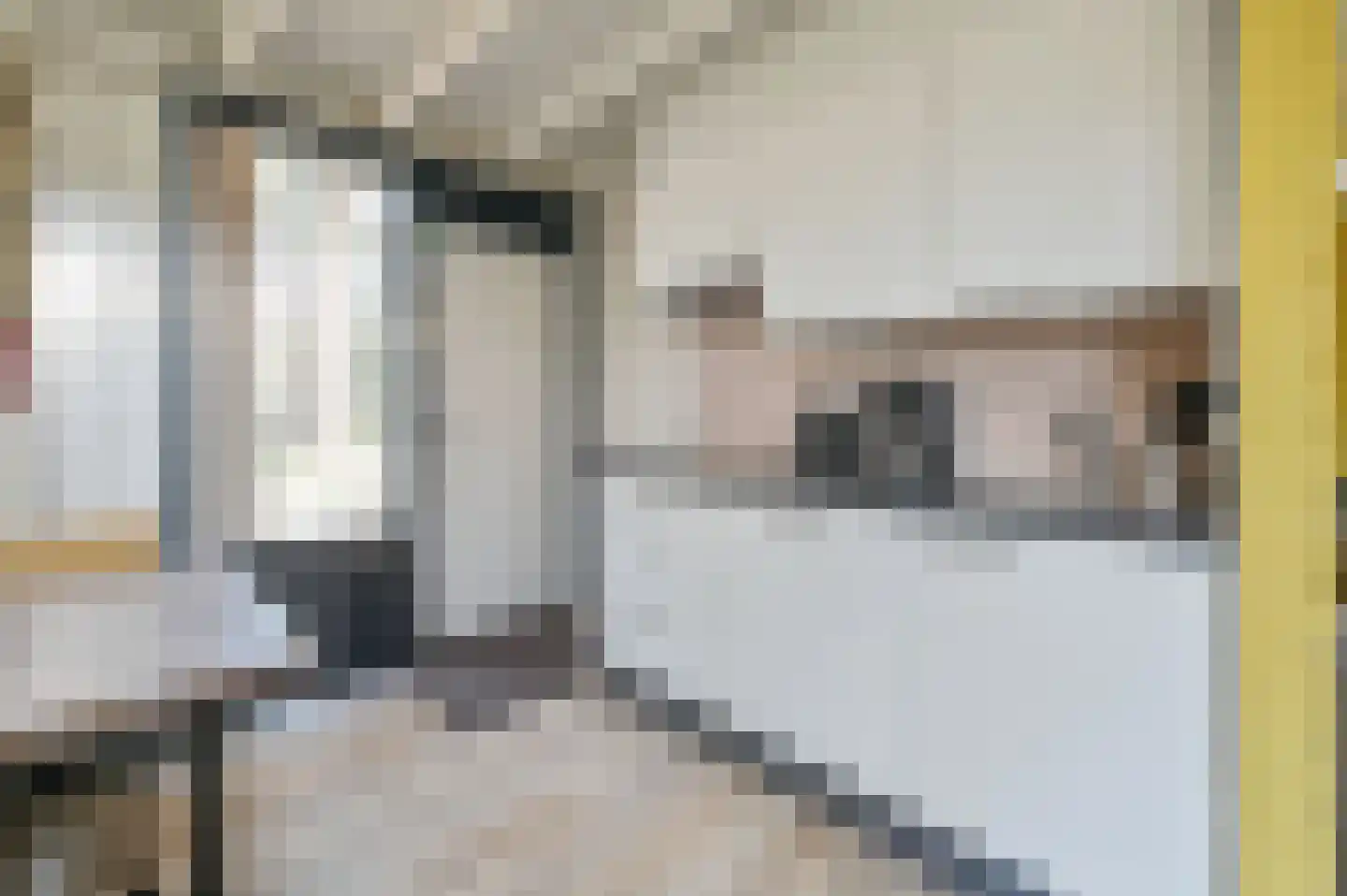 Vennenbos 308 Hapert thumbnail 8