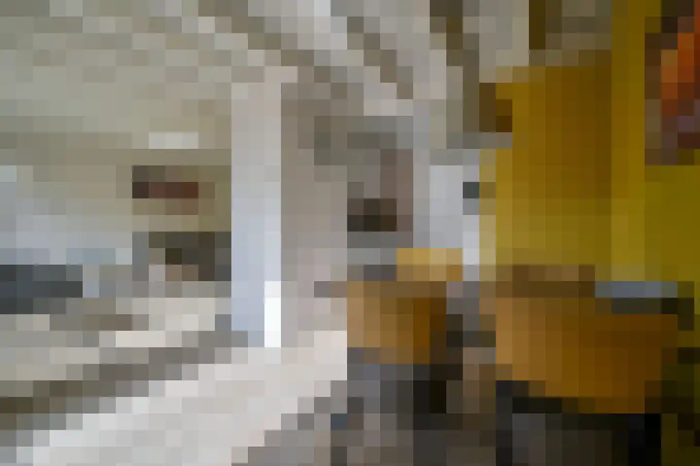 Vennenbos 309 Hapert thumbnail 10