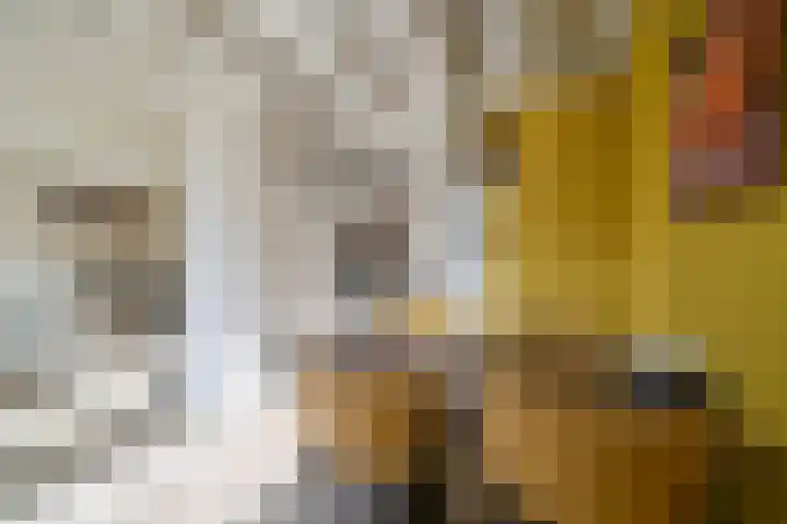 Vennenbos 309 Hapert thumbnail 11