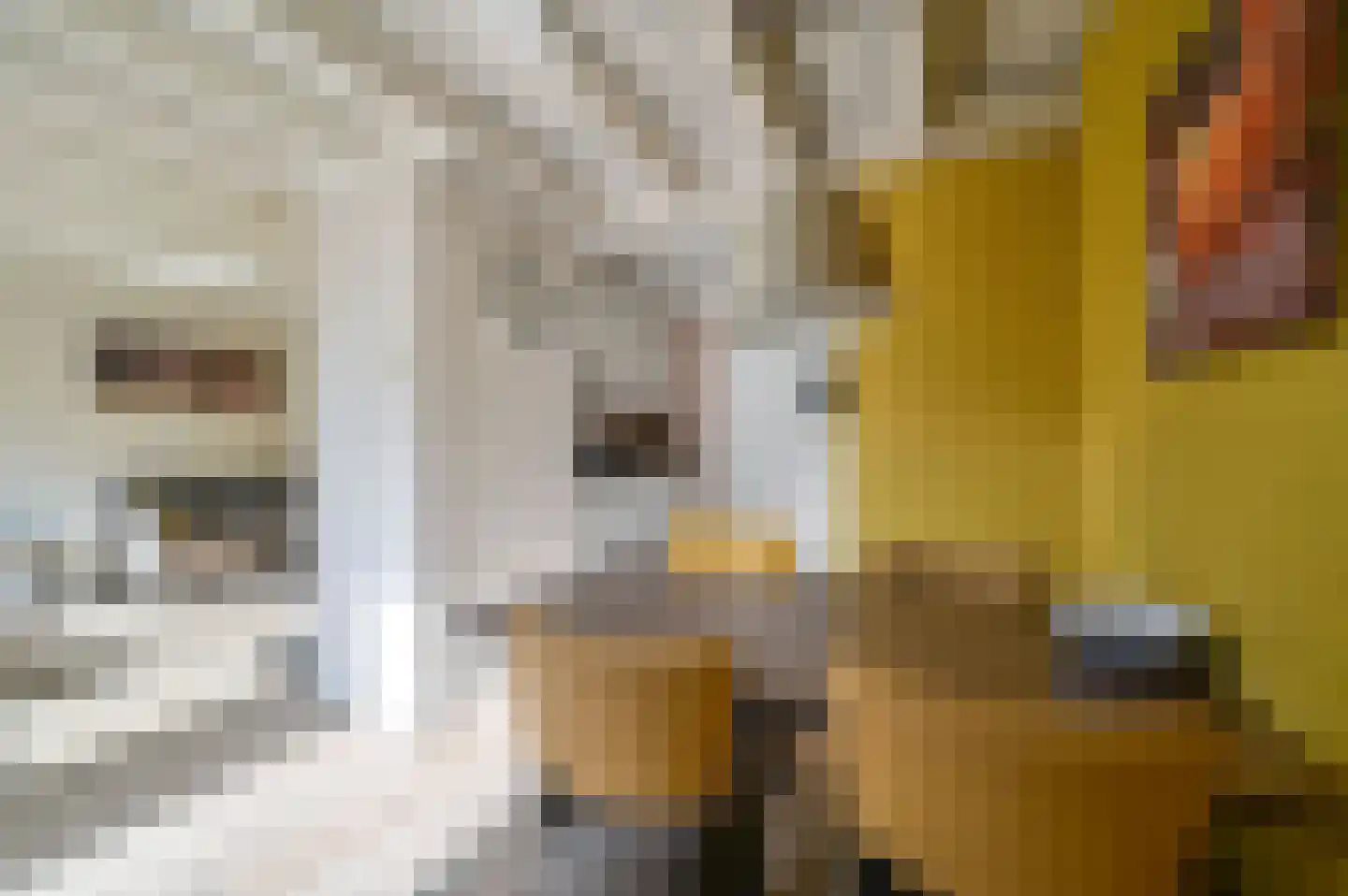 Vennenbos 309 Hapert thumbnail 11
