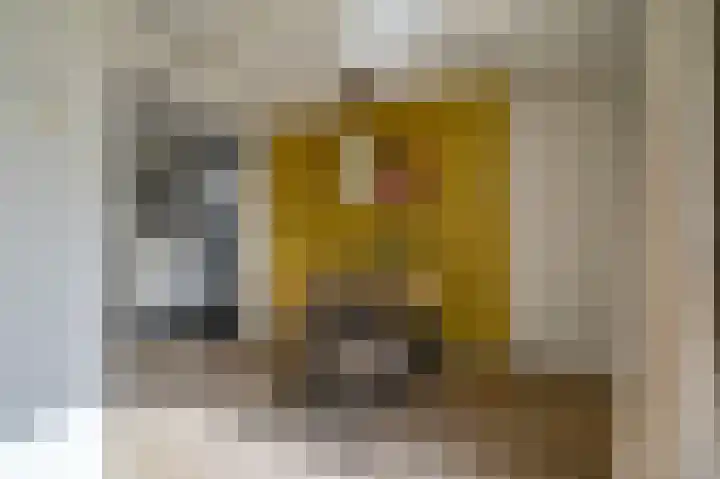 Vennenbos 309 Hapert thumbnail 12