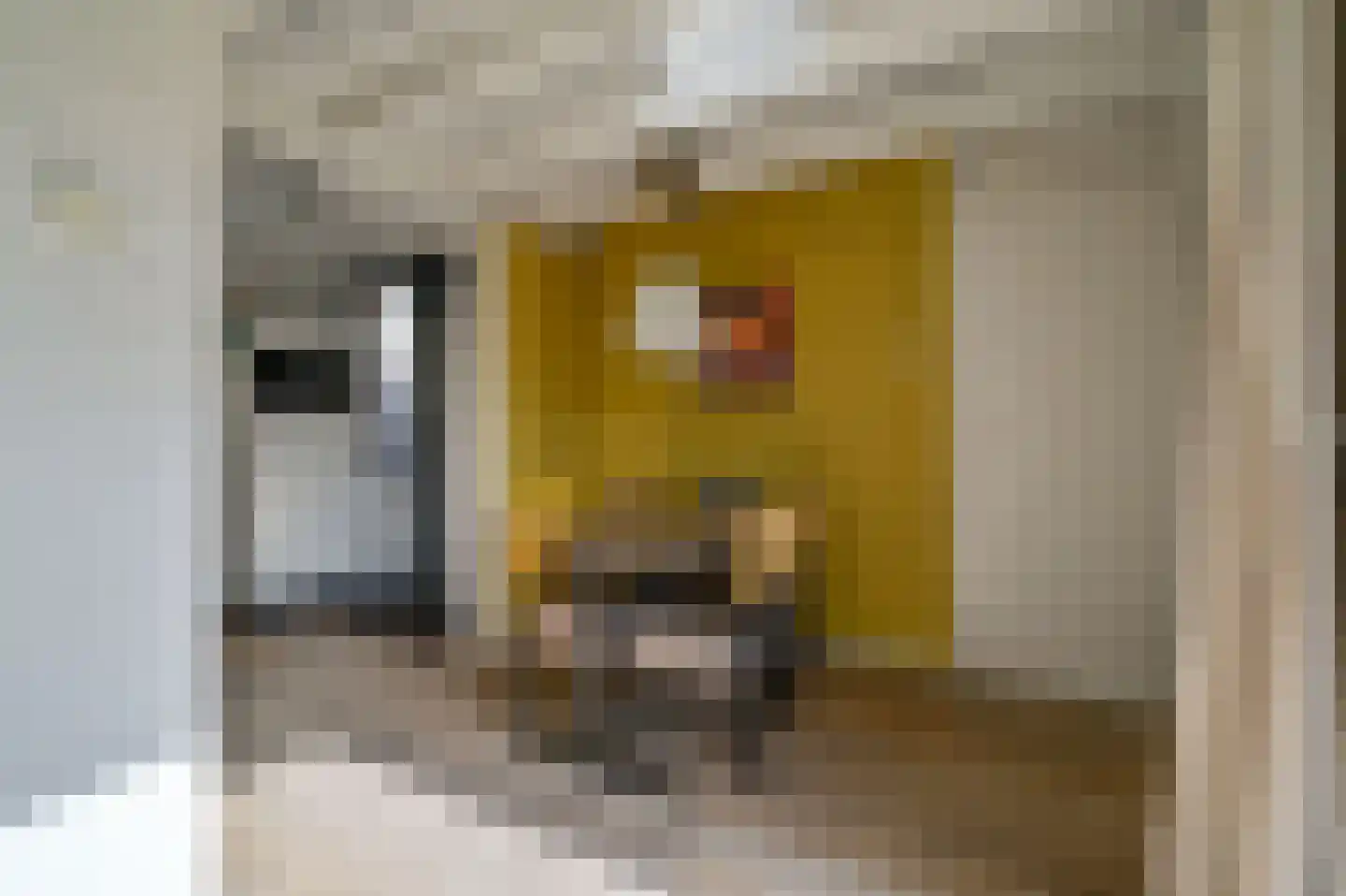 Vennenbos 309 Hapert thumbnail 12