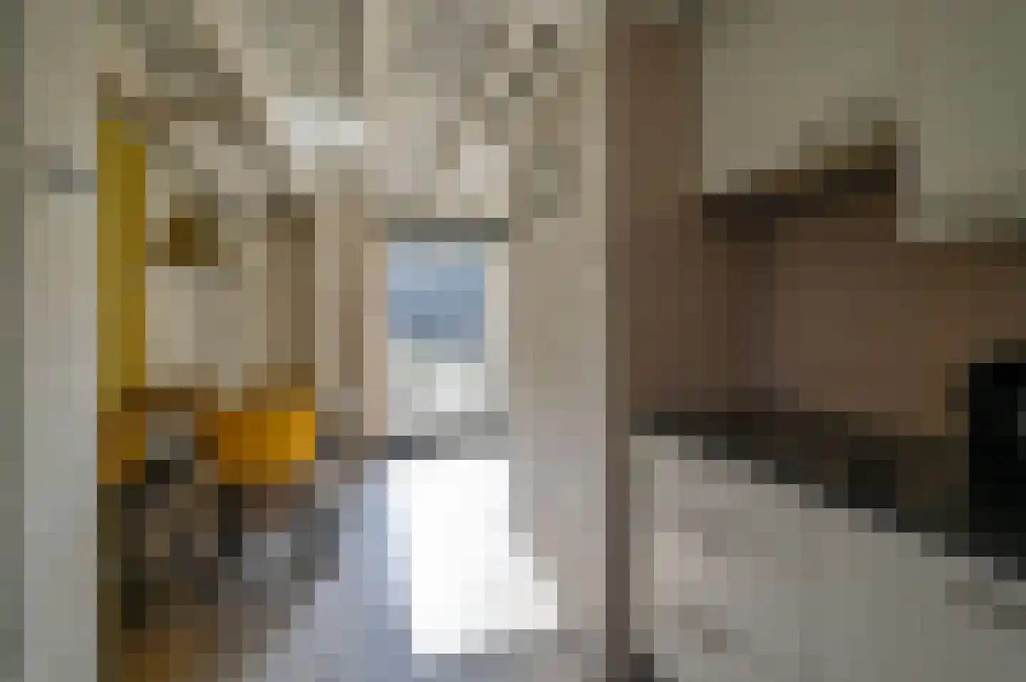 Vennenbos 309 Hapert thumbnail 13