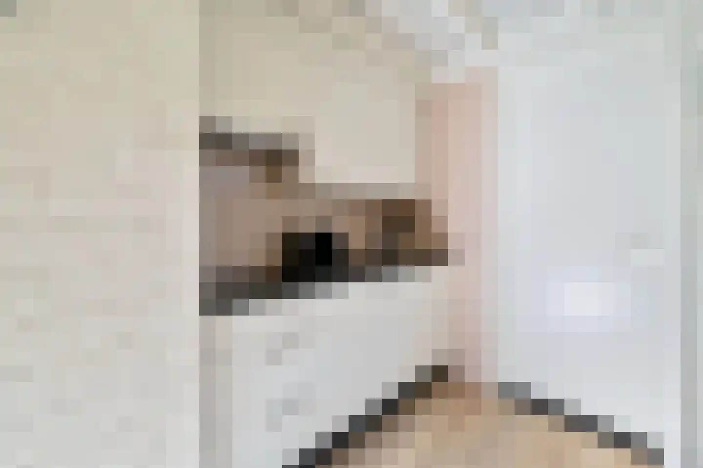 Vennenbos 309 Hapert thumbnail 14