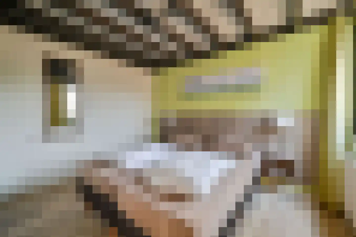 Vennenbos 309 Hapert thumbnail 16