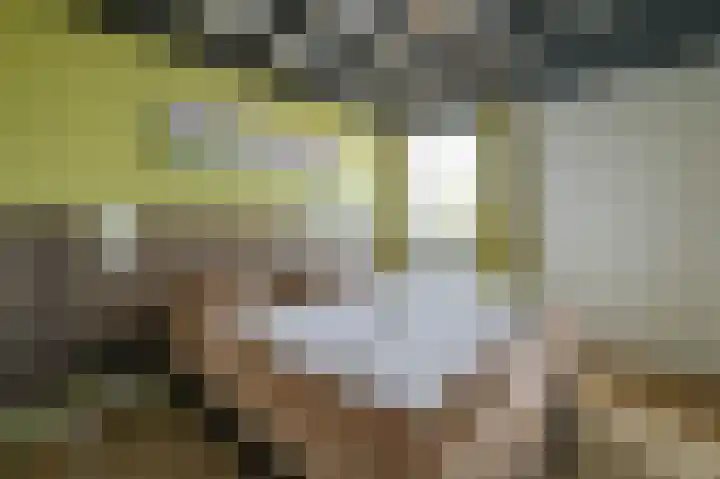 Vennenbos 309 Hapert thumbnail 17