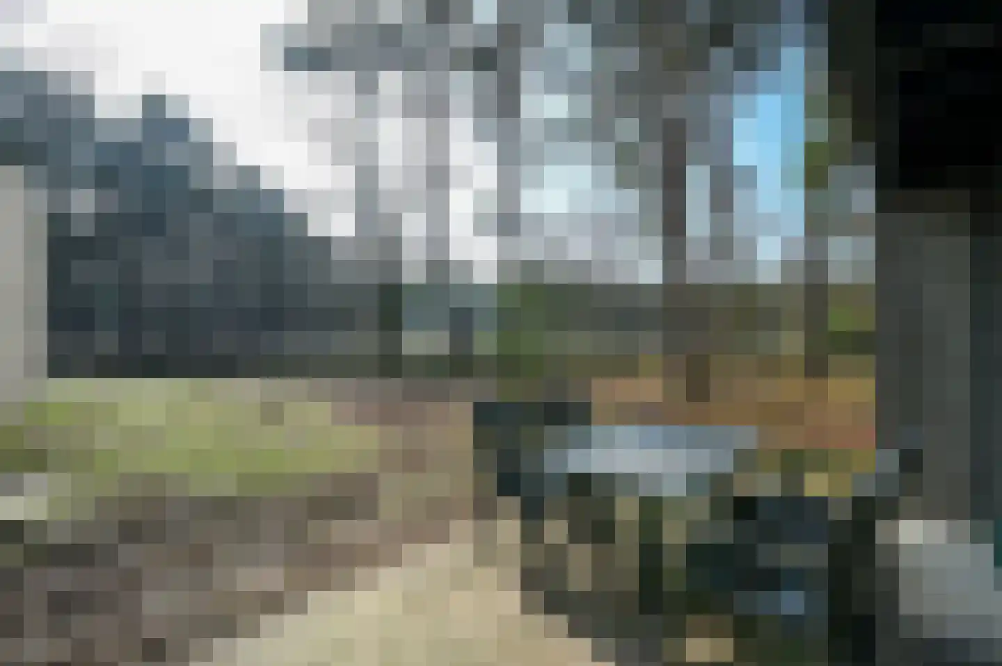 Vennenbos 309 Hapert thumbnail 21