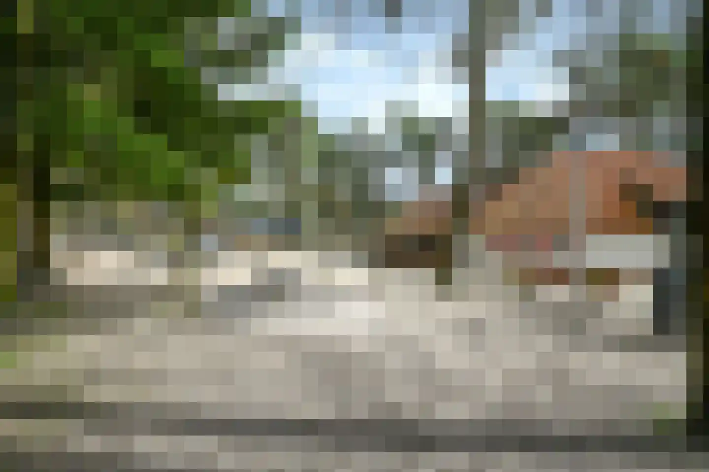 Vennenbos 309 Hapert thumbnail 24
