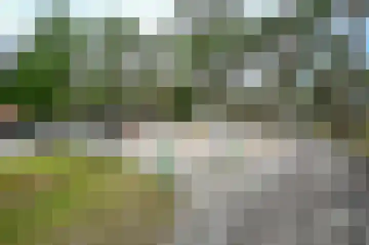 Vennenbos 309 Hapert thumbnail 26