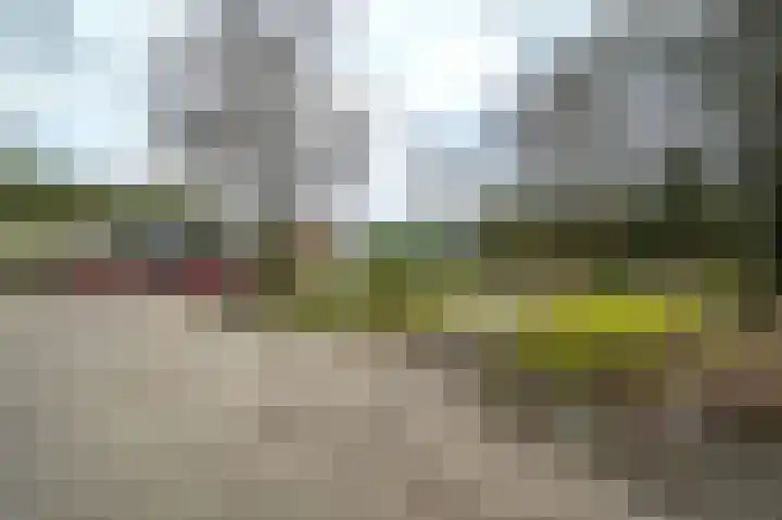 Vennenbos 309 Hapert thumbnail 27