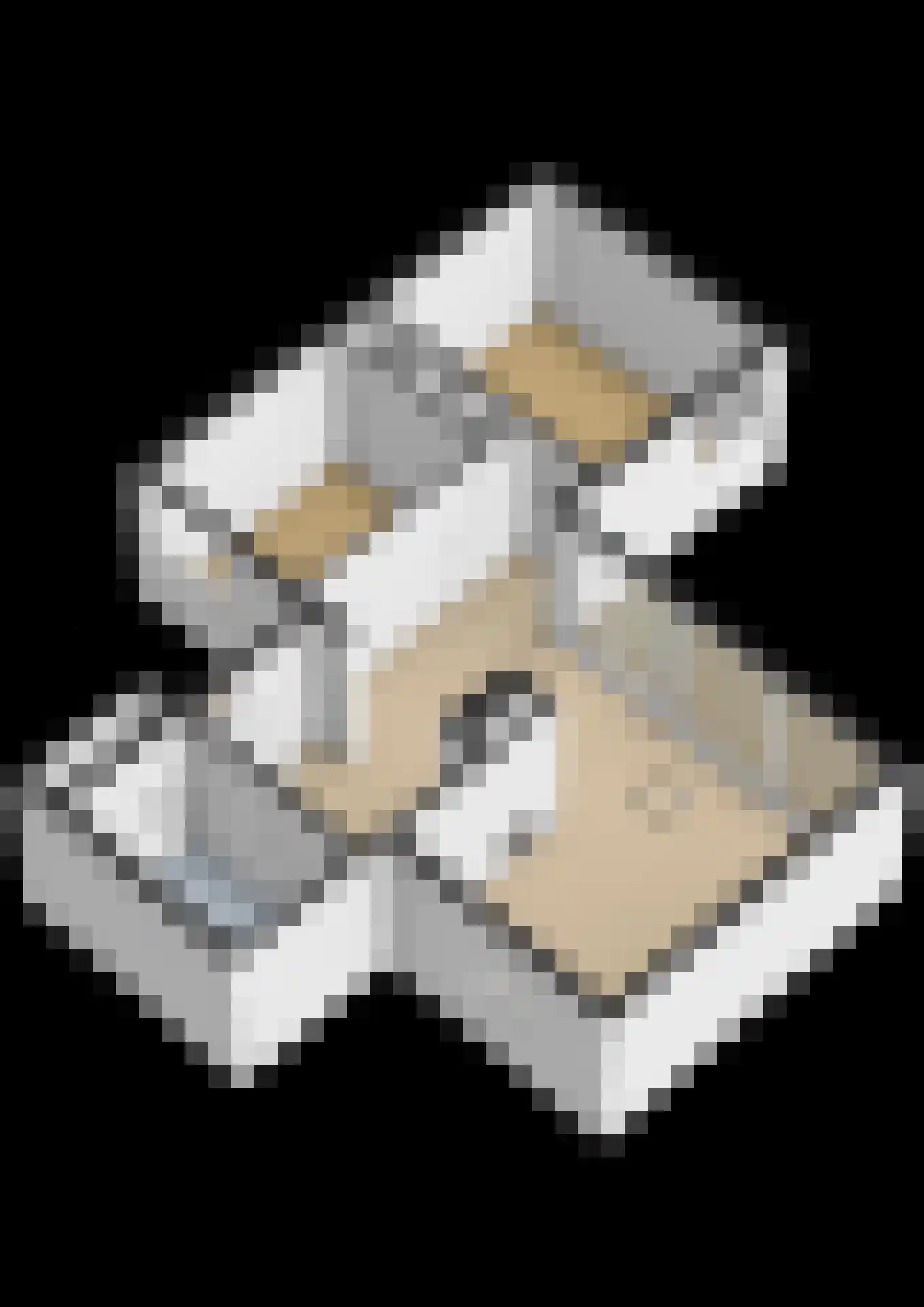 Vennenbos 309 Hapert thumbnail 30
