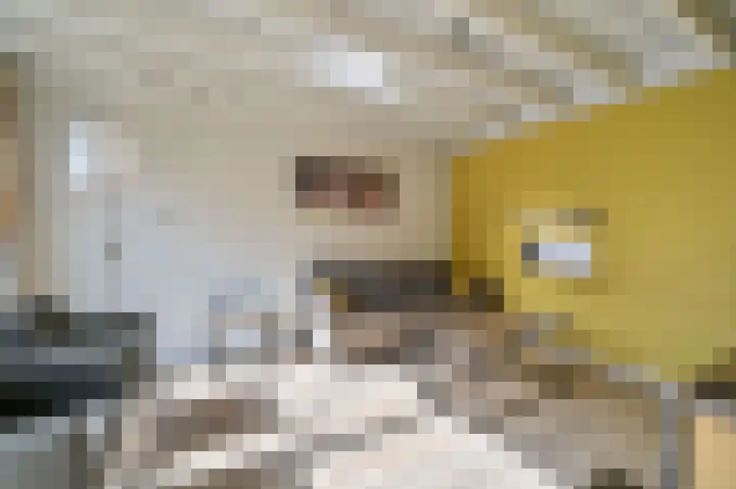 Vennenbos 309 Hapert thumbnail 5