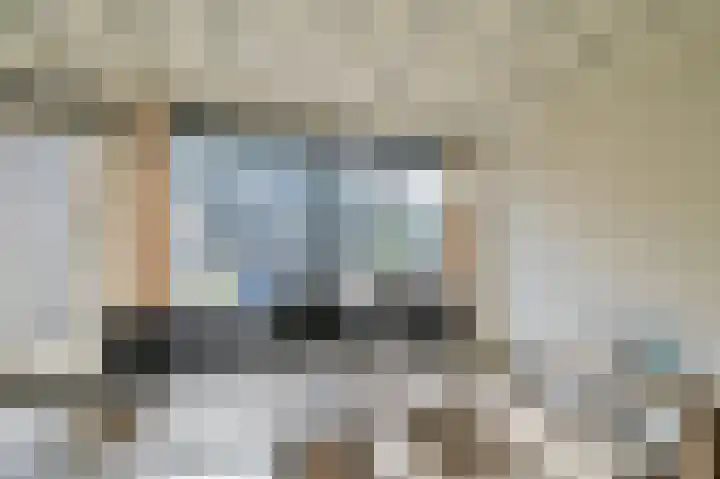 Vennenbos 309 Hapert thumbnail 6