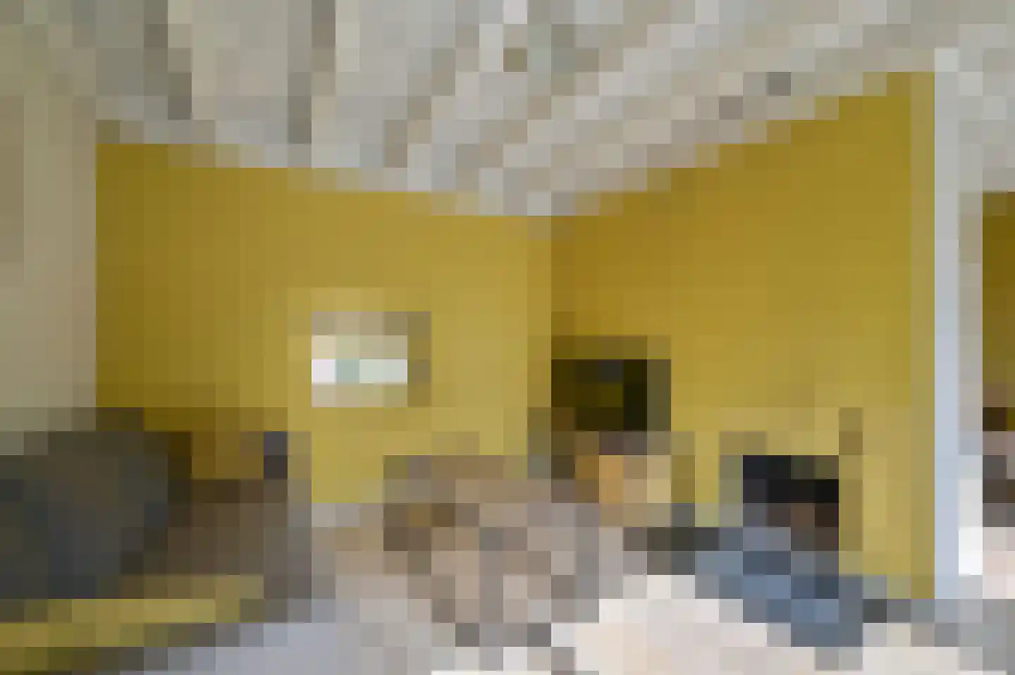 Vennenbos 309 Hapert thumbnail 7