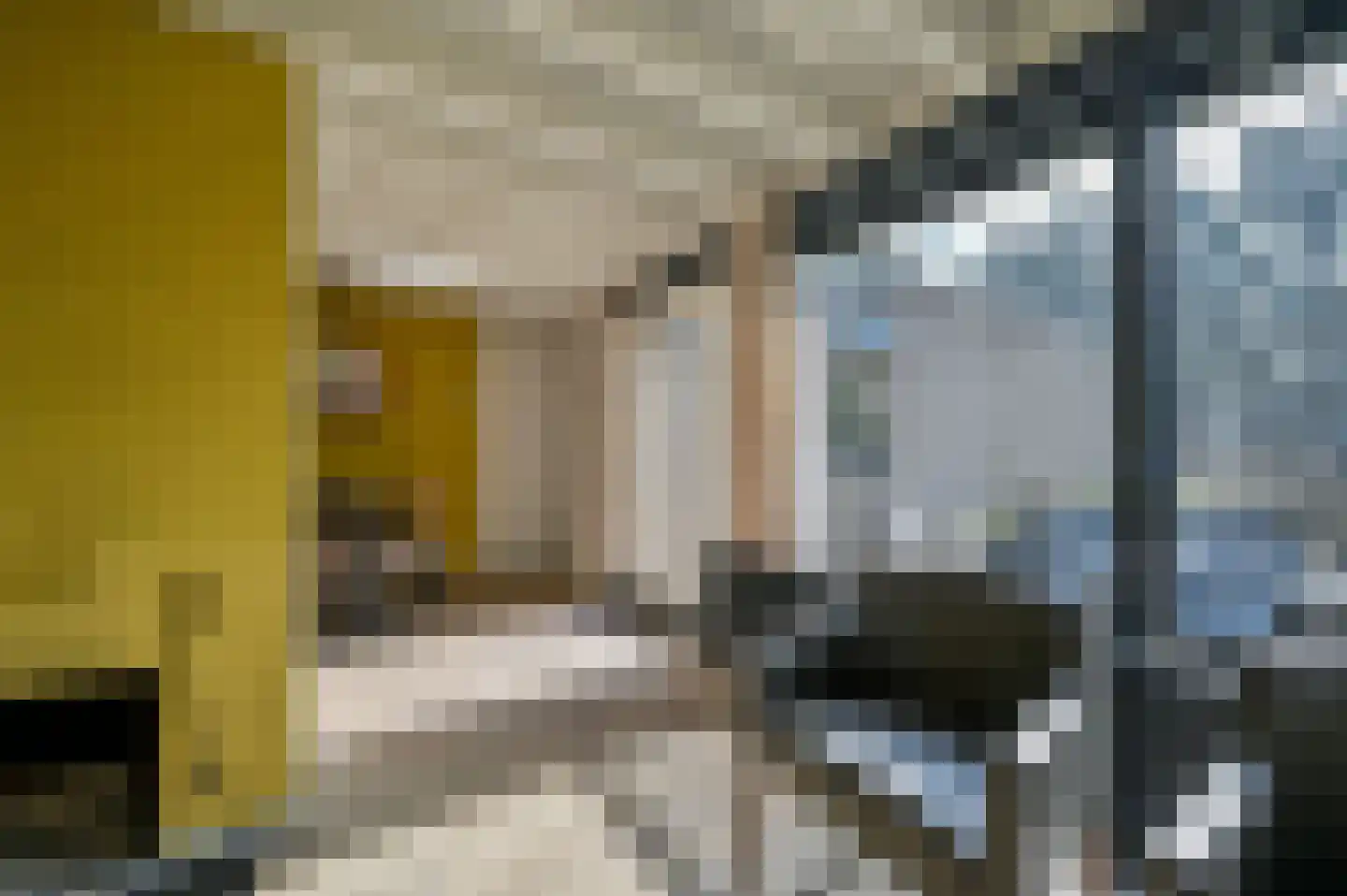 Vennenbos 309 Hapert thumbnail 9