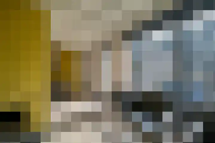 Vennenbos 309 Hapert thumbnail 9