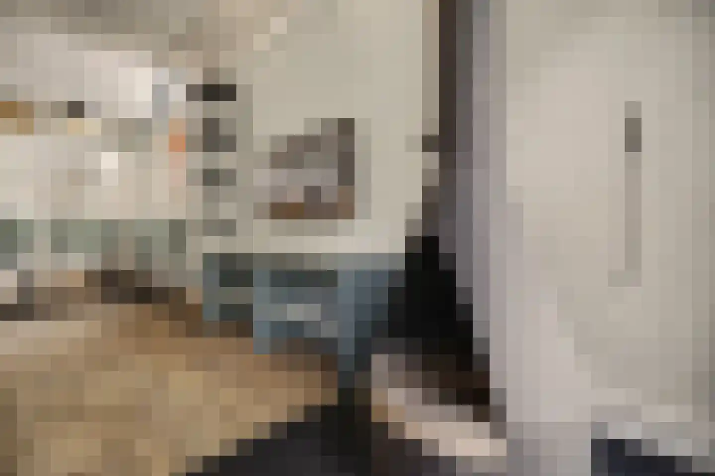Vennenbos 419 Hapert thumbnail 11