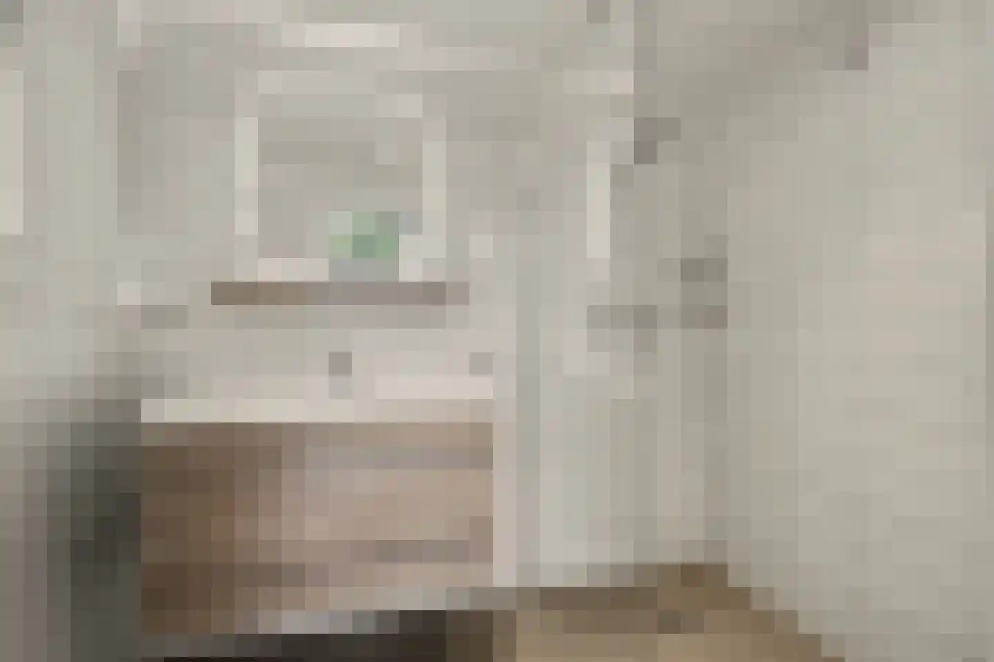 Vennenbos 419 Hapert thumbnail 18