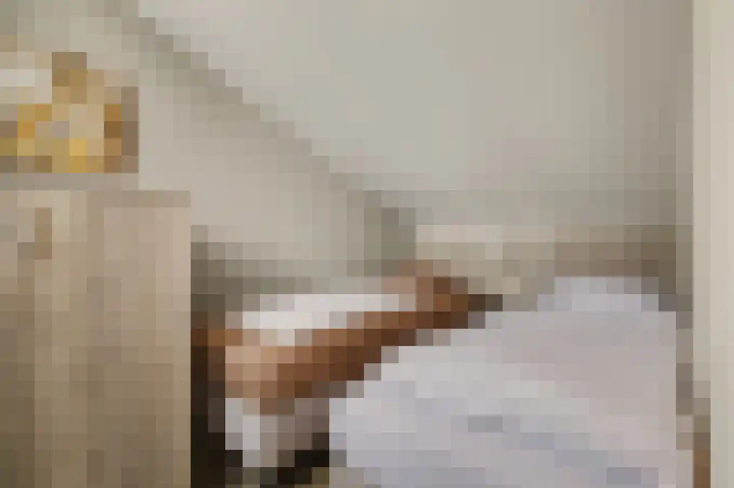 Vennenbos 419 Hapert thumbnail 21