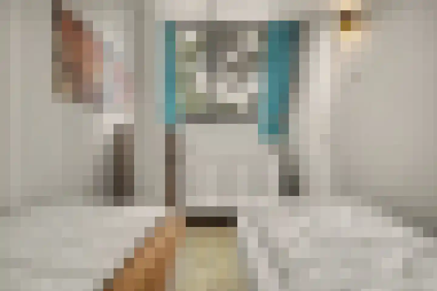 Vennenbos 419 Hapert thumbnail 24