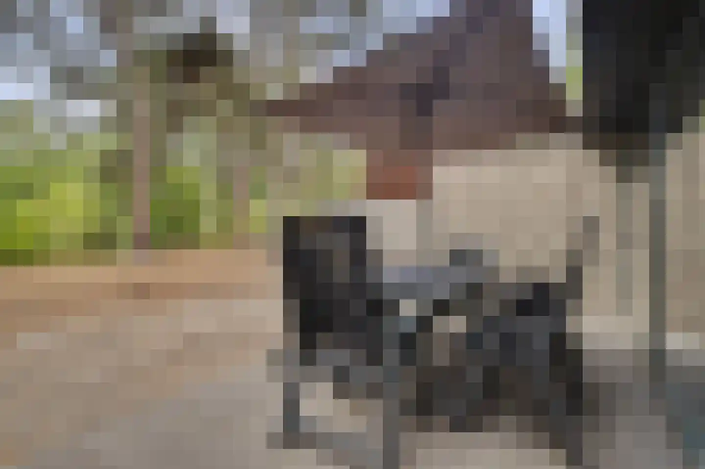 Vennenbos 419 Hapert thumbnail 25