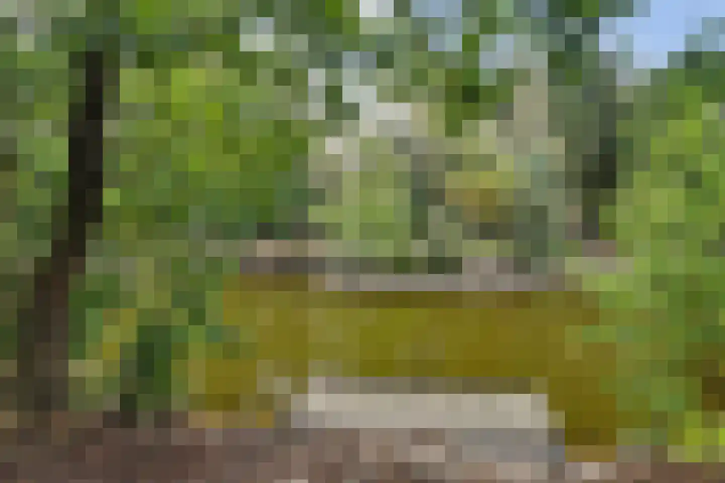 Vennenbos 419 Hapert thumbnail 28