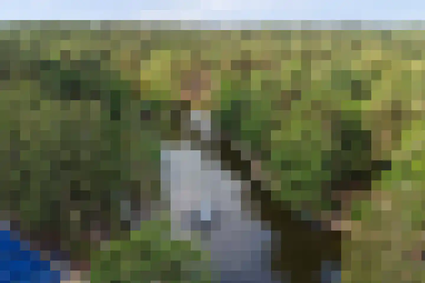 Vennenbos 419 Hapert thumbnail 29