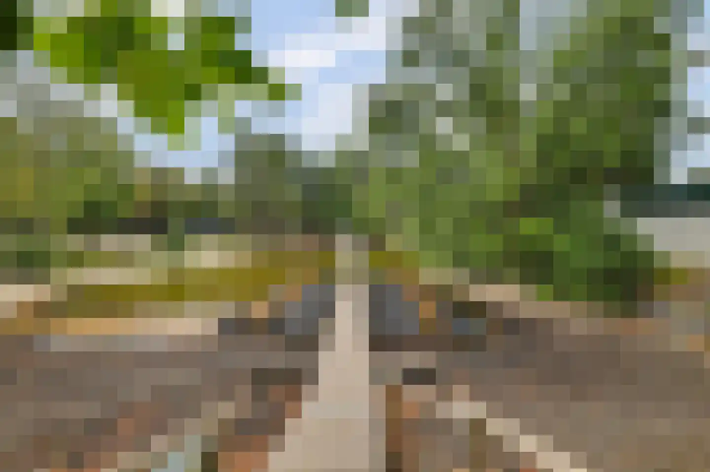 Vennenbos 419 Hapert thumbnail 30