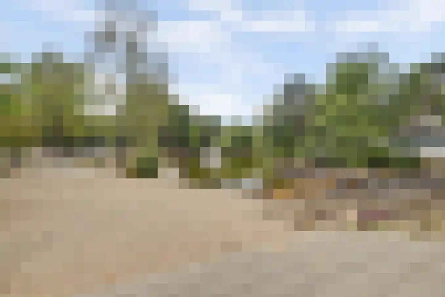 Vennenbos 419 Hapert thumbnail 31