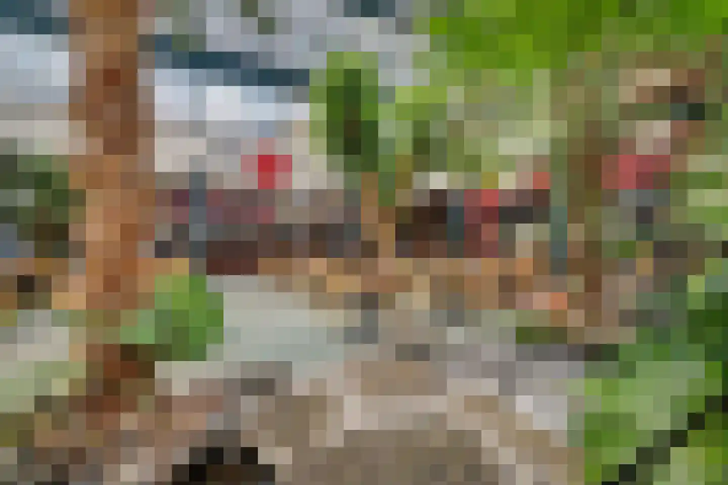 Vennenbos 419 Hapert thumbnail 33