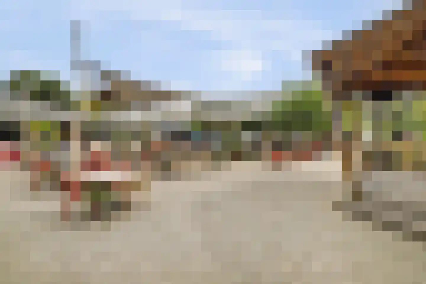 Vennenbos 419 Hapert thumbnail 34