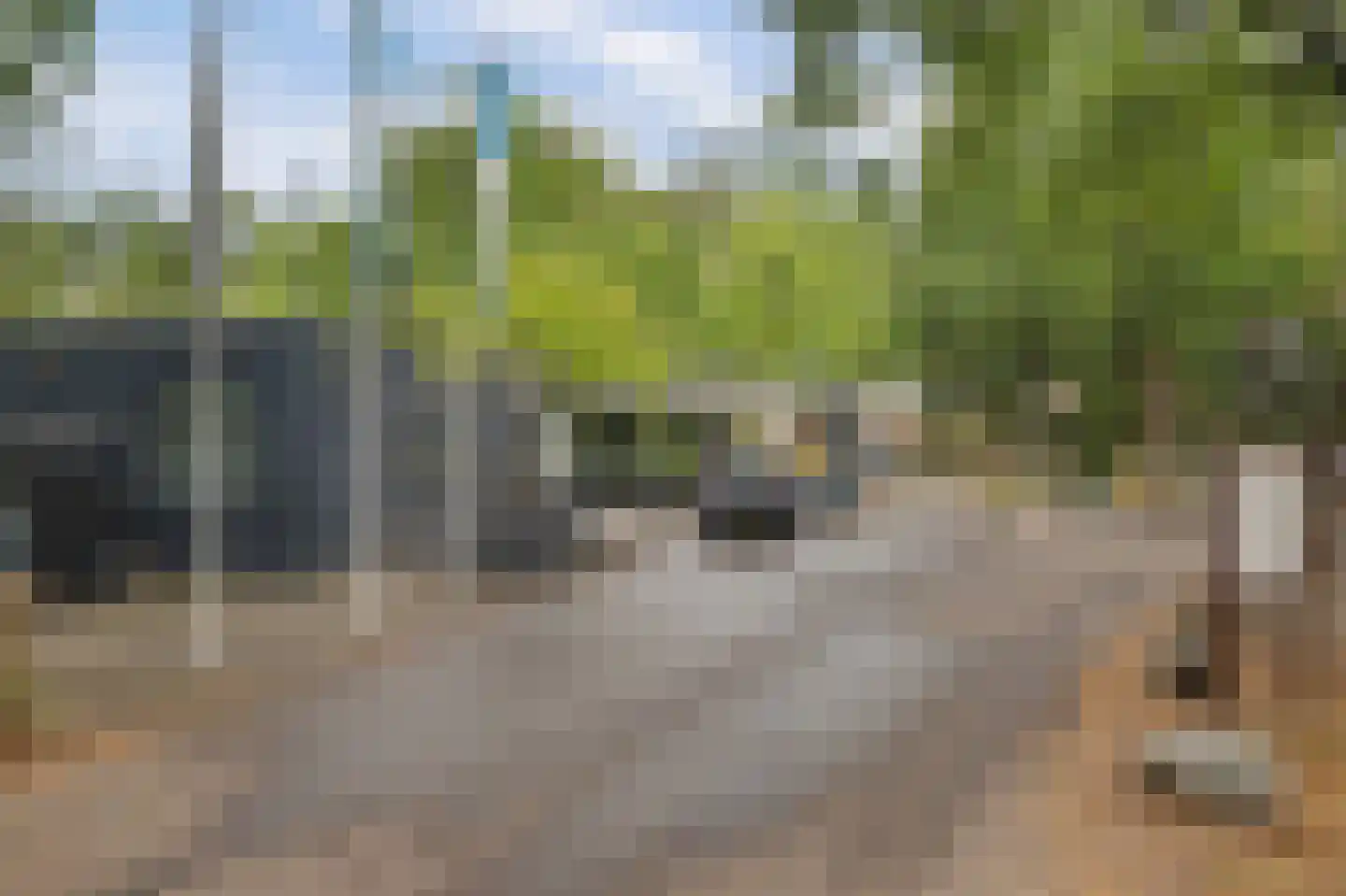 Vennenbos 419 Hapert thumbnail 35