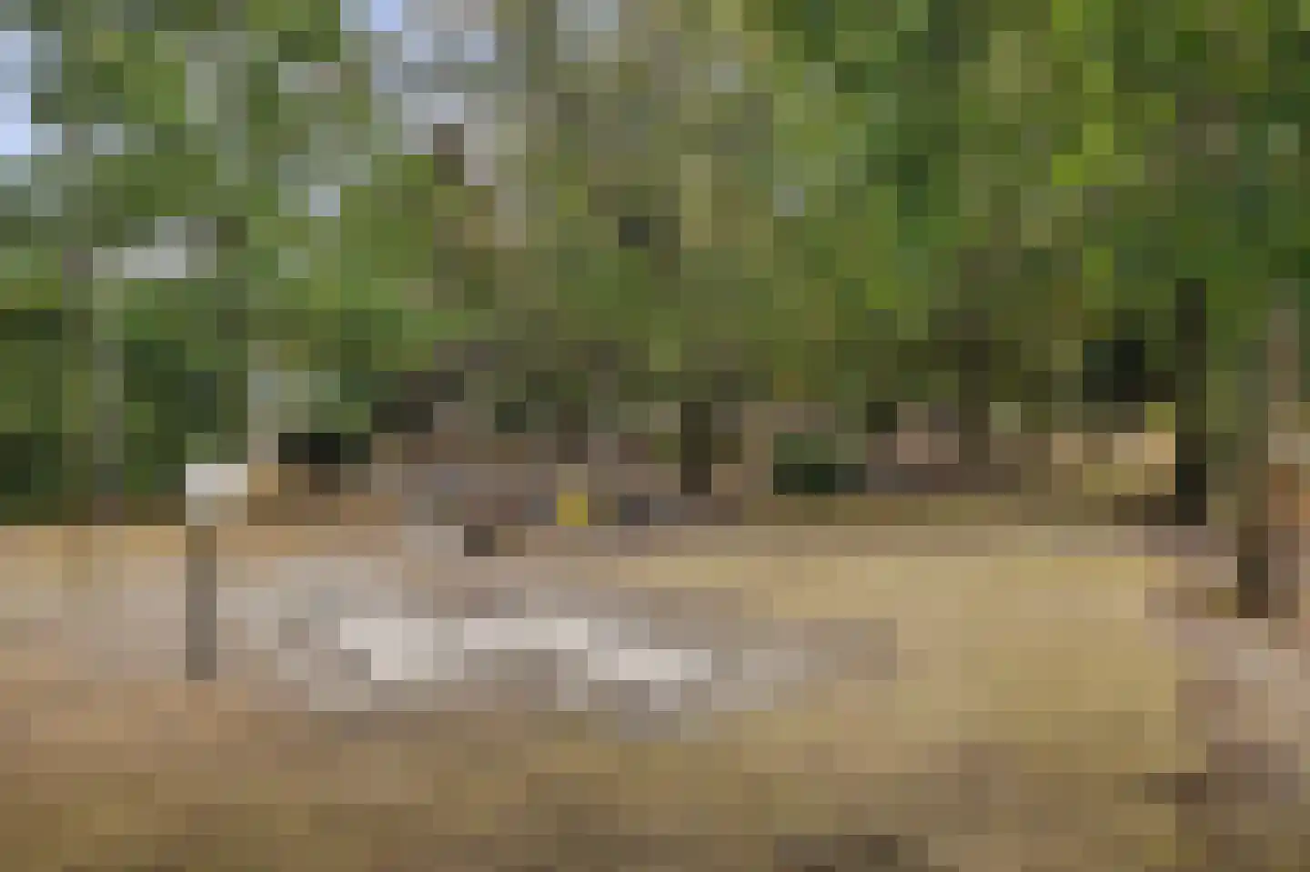 Vennenbos 419 Hapert thumbnail 36