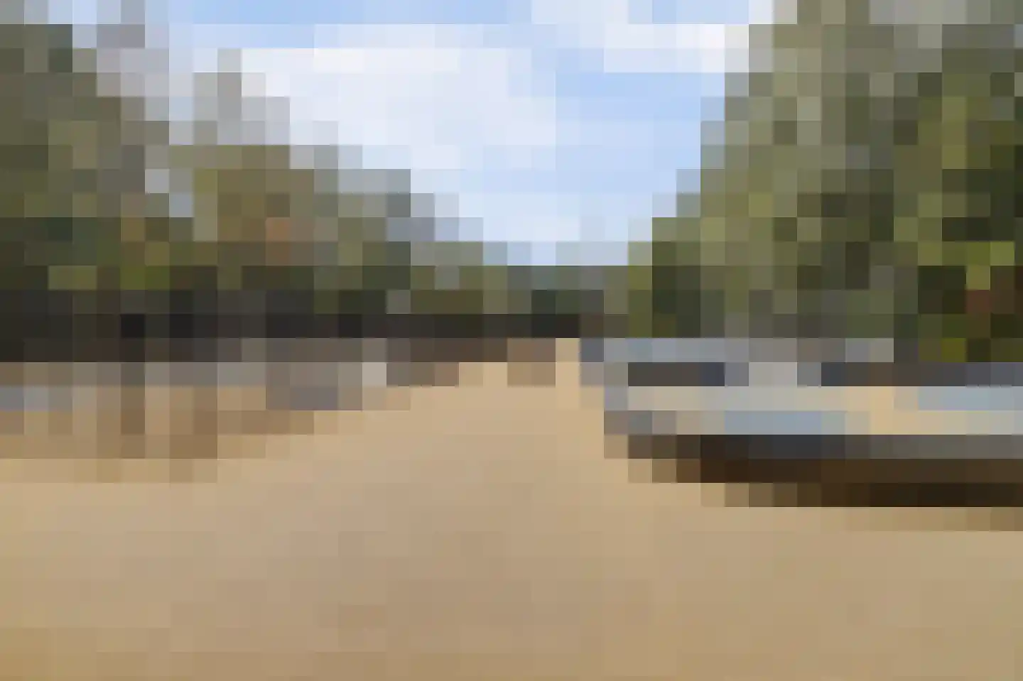 Vennenbos 419 Hapert thumbnail 37
