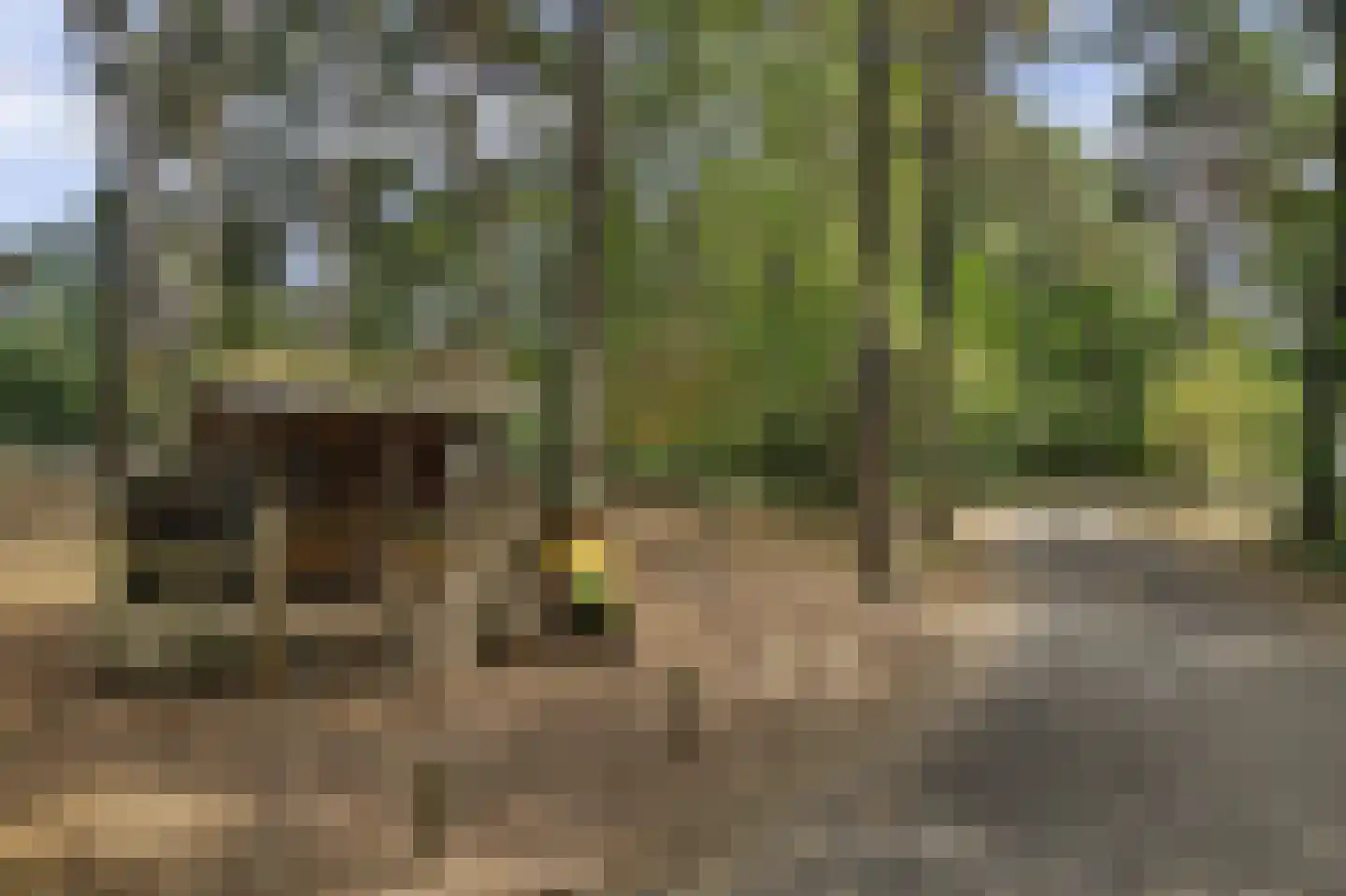Vennenbos 419 Hapert thumbnail 38