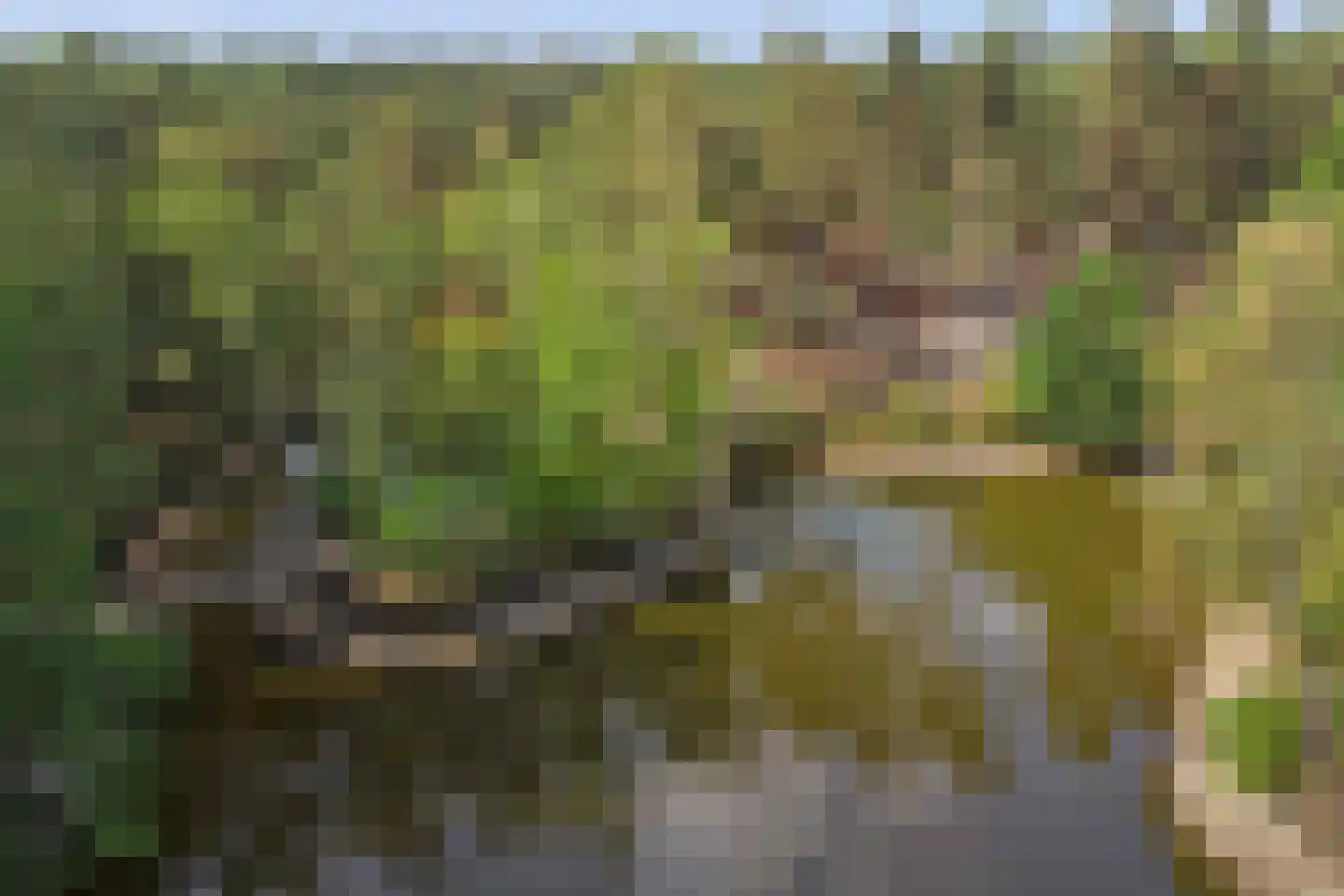 Vennenbos 419 Hapert thumbnail 41