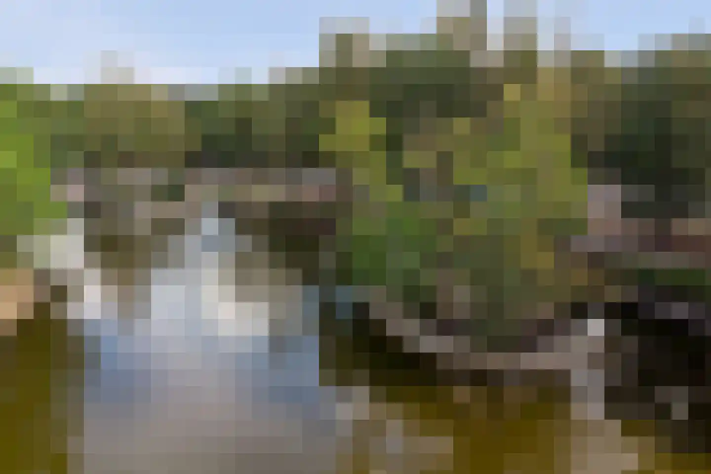 Vennenbos 419 Hapert thumbnail 42