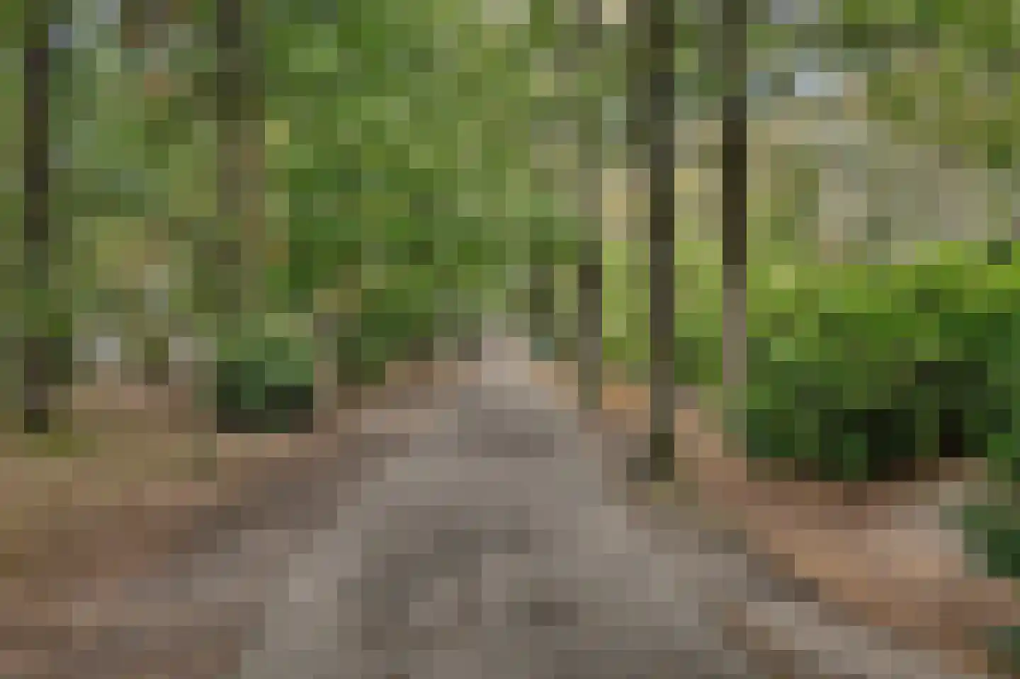 Vennenbos 419 Hapert thumbnail 43