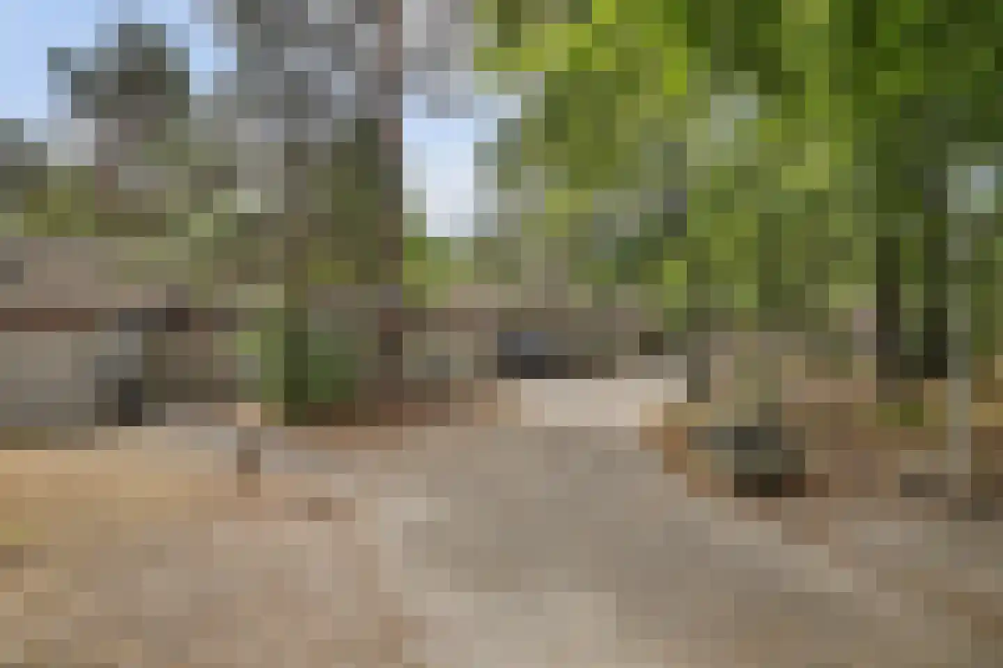 Vennenbos 419 Hapert thumbnail 44