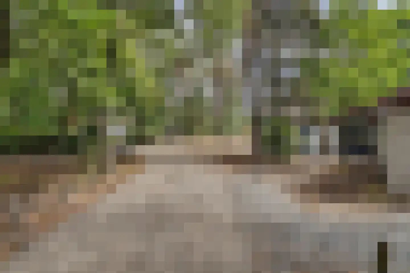 Vennenbos 419 Hapert thumbnail 45