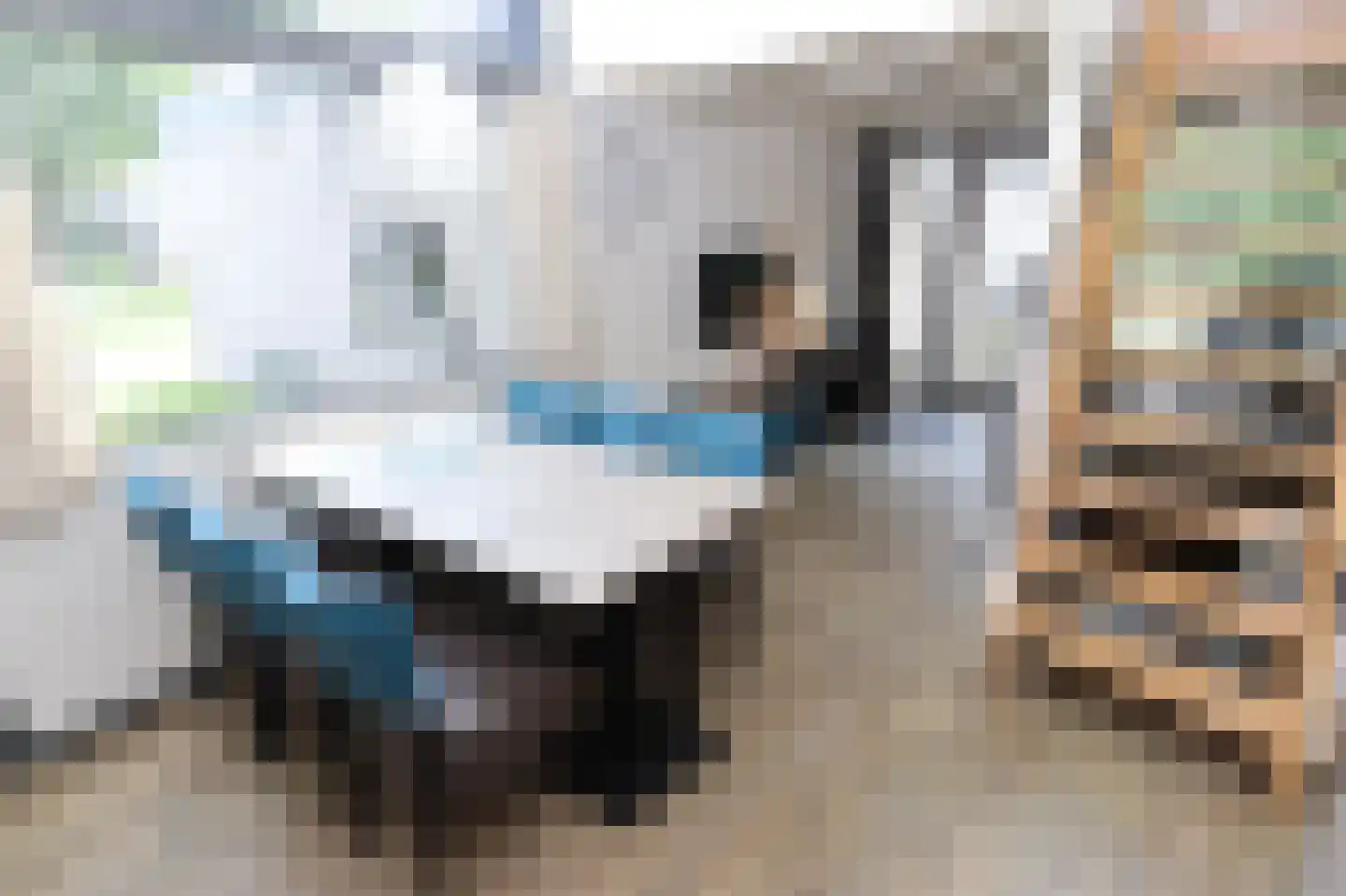 Vennenbos 421 Hapert thumbnail 10
