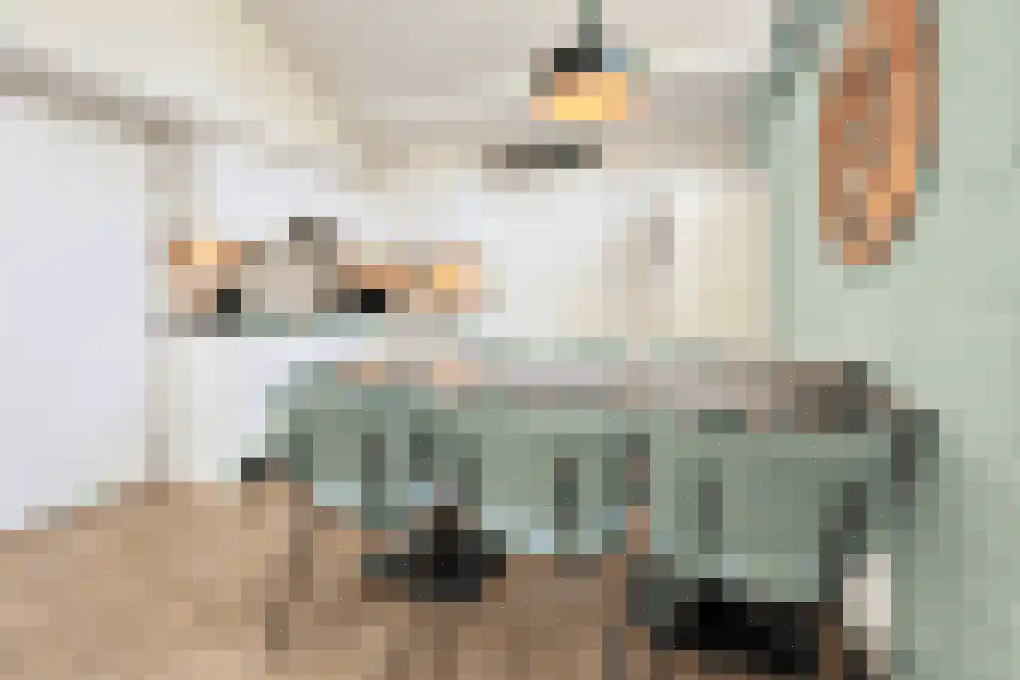 Vennenbos 421 Hapert thumbnail 10